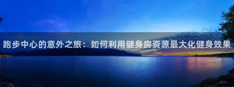 龙8官网国际