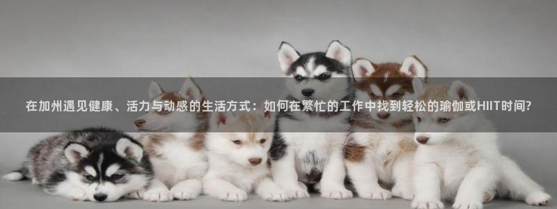 龙8国际首页