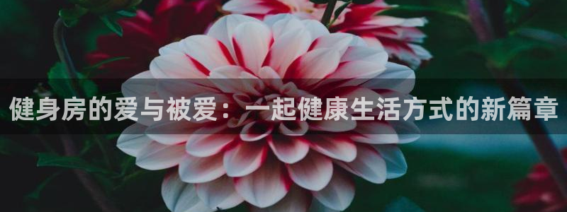 龙八国际娱乐在线游戏