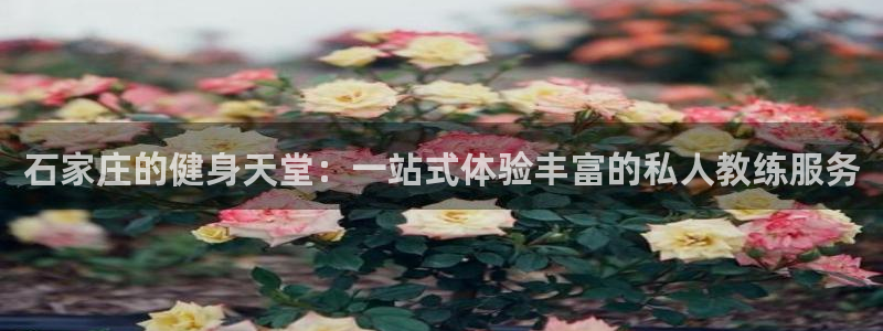 龙8国际平台官网