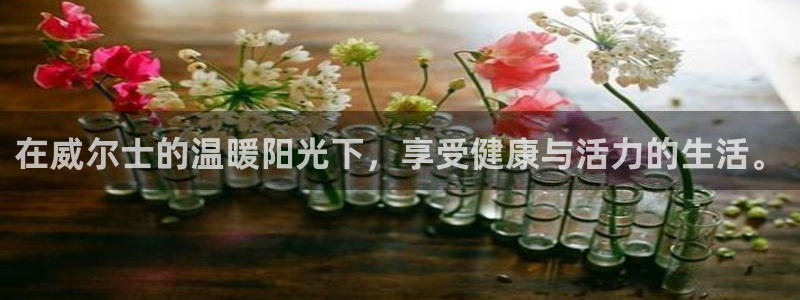 龙8国际官网正版