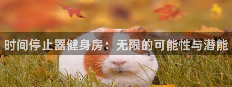 龙8国际官网