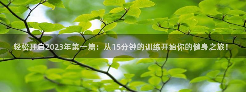龙8国际pt官网