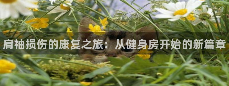 龙8国际ing