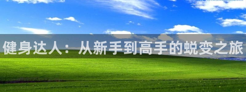 龙8国际官网多少