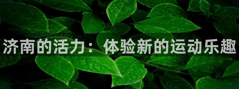 龙8app 国际