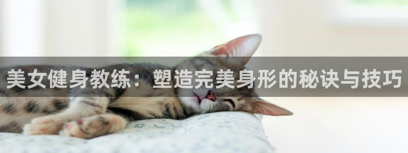 龙8国际app客户端下载不了