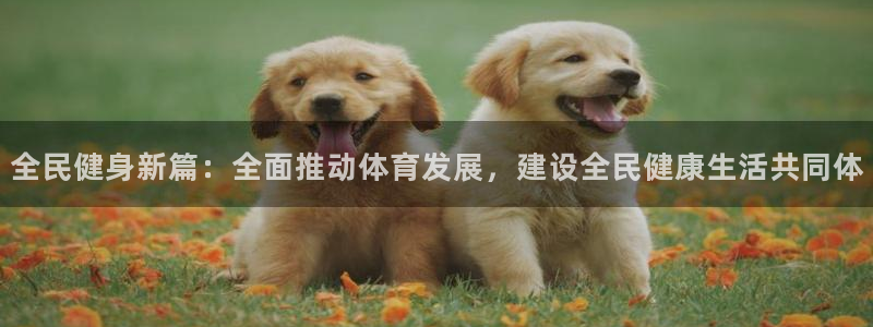 龙8国际官网多少