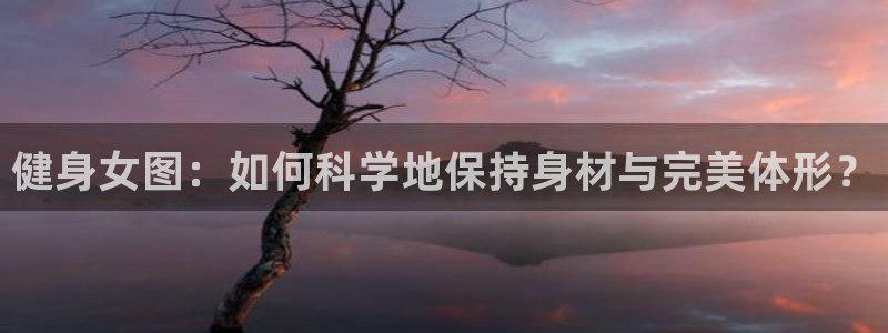 龙8国际总代理