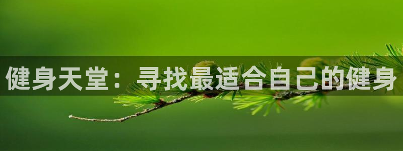 龙8游戏官方网站p