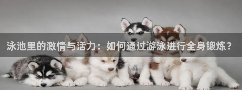 龙八国际服官网入口