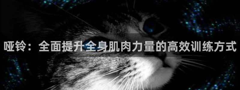 龙8国际官网手机登录