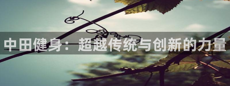 龙8国际游戏官网