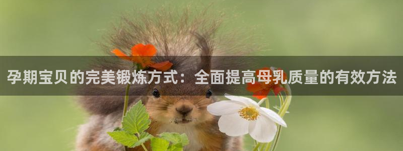 龙8-龙国际-long8-龙8游戏