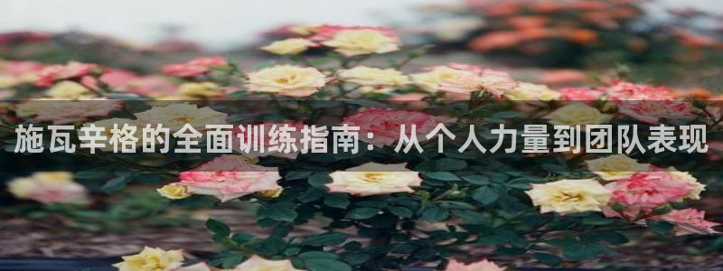 龙8国际app客户端下载不了