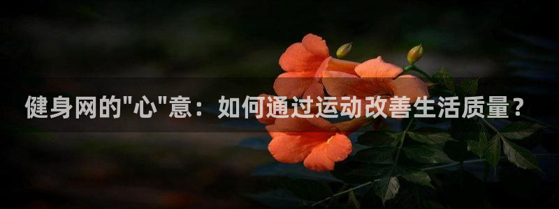 龙8国际是什么平台